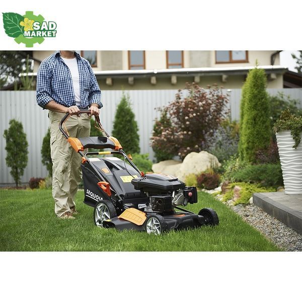 Газонокосилка бензиновая SEQUOIA SPLM4600 SPLM4600 фото