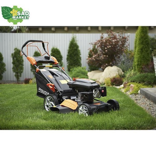 Газонокосилка бензиновая SEQUOIA SPLM4600 SPLM4600 фото