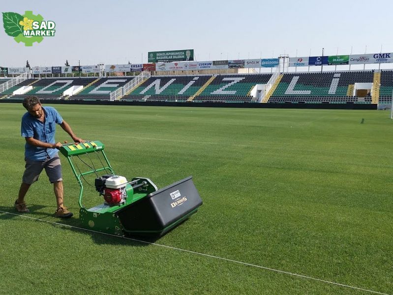 Газонокосилка бензиновая цилиндрическая Dennis G860 G860 фото