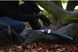Пила садовая в чехле Silky Zubat 270-24 270-24 фото 2