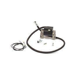 Котушка запалювання (магнето) для двигунів Briggs & Stratton серій 170400, 170700, 171400, 7&ndash;16 к.с. 398811 фото