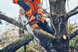 Пила цепная аккумуляторная Husqvarna T542iXP 9706468-14 фото 2