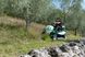 Трактор-газонокосарка для високої трави OREC Rabbit RM982F (з двигуном Briggs & Stratton) RM982F - B&S фото 14