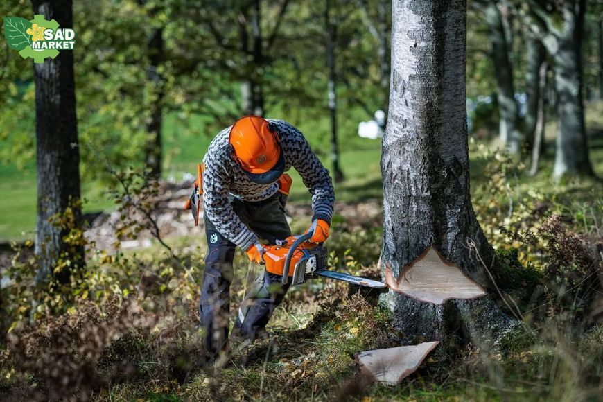 Бензопила Husqvarna 450S 9707026-15 фото