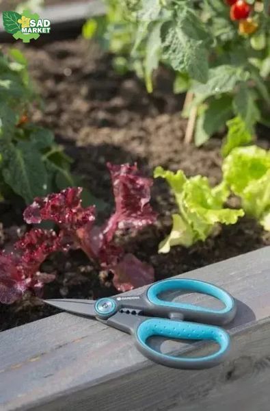 Ножницы для травы и цветов Gardena HerbCut (c чехлом) 12214-36.000.00 фото