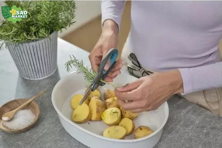Ножницы для травы и цветов Gardena HerbCut (c чехлом) 12214-36.000.00 фото