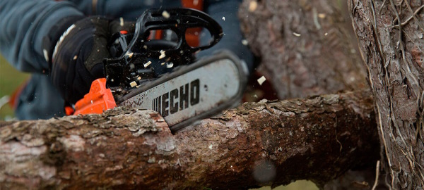 Echo CS-2511TES