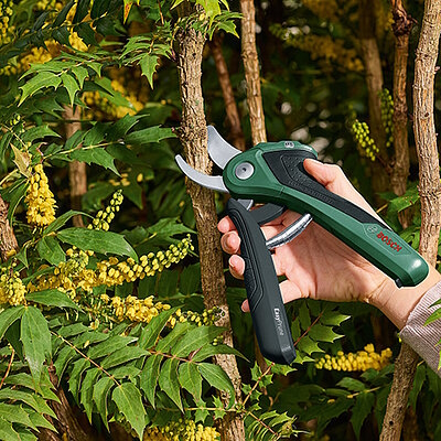 Bosch EasyPrune в роботі